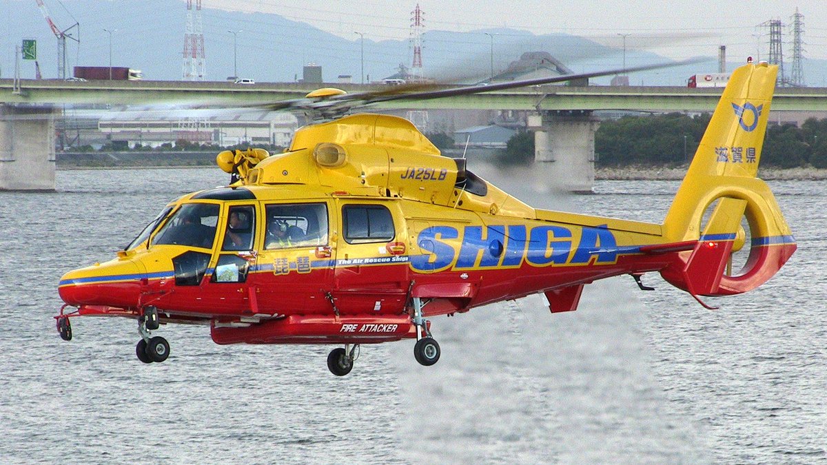 #ドーファンを愛でる会