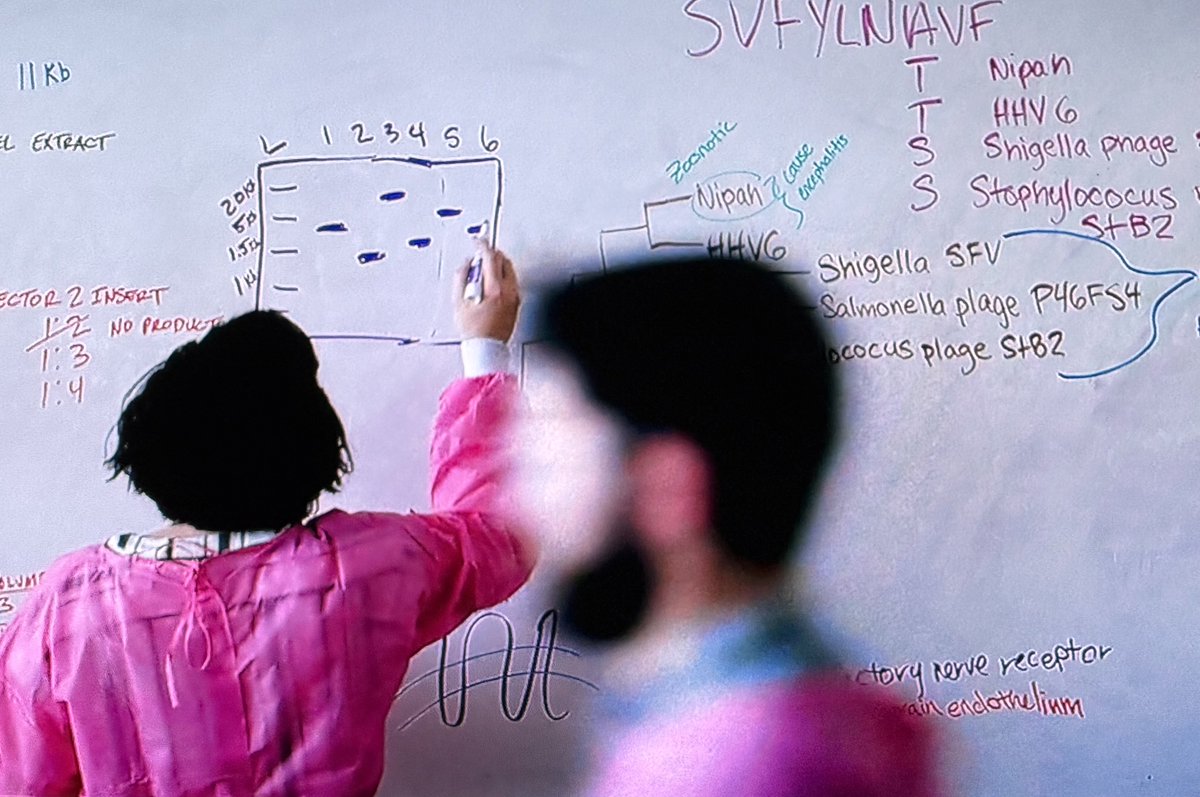 KamounLab's tweet image. Definitely manipulated data ⁦@PluribusTV⁩ #imageforensics #biology