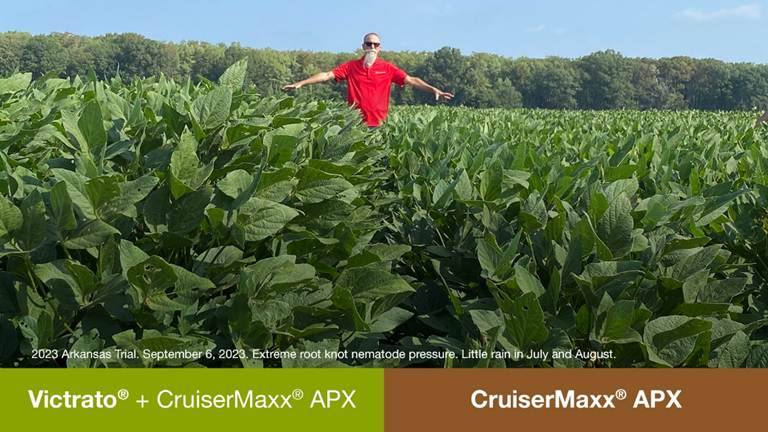 Syngenta launches Victrato, a new seed treatment for soybeans &amp; cotton 🌱

Protects against nematodes, SDS &amp; Red Crown Rot
TYMIRIUM® tech for precision targeting
Outperforms current treatments in field trials

Read more 👇ow.ly/MvsW50XpJhz