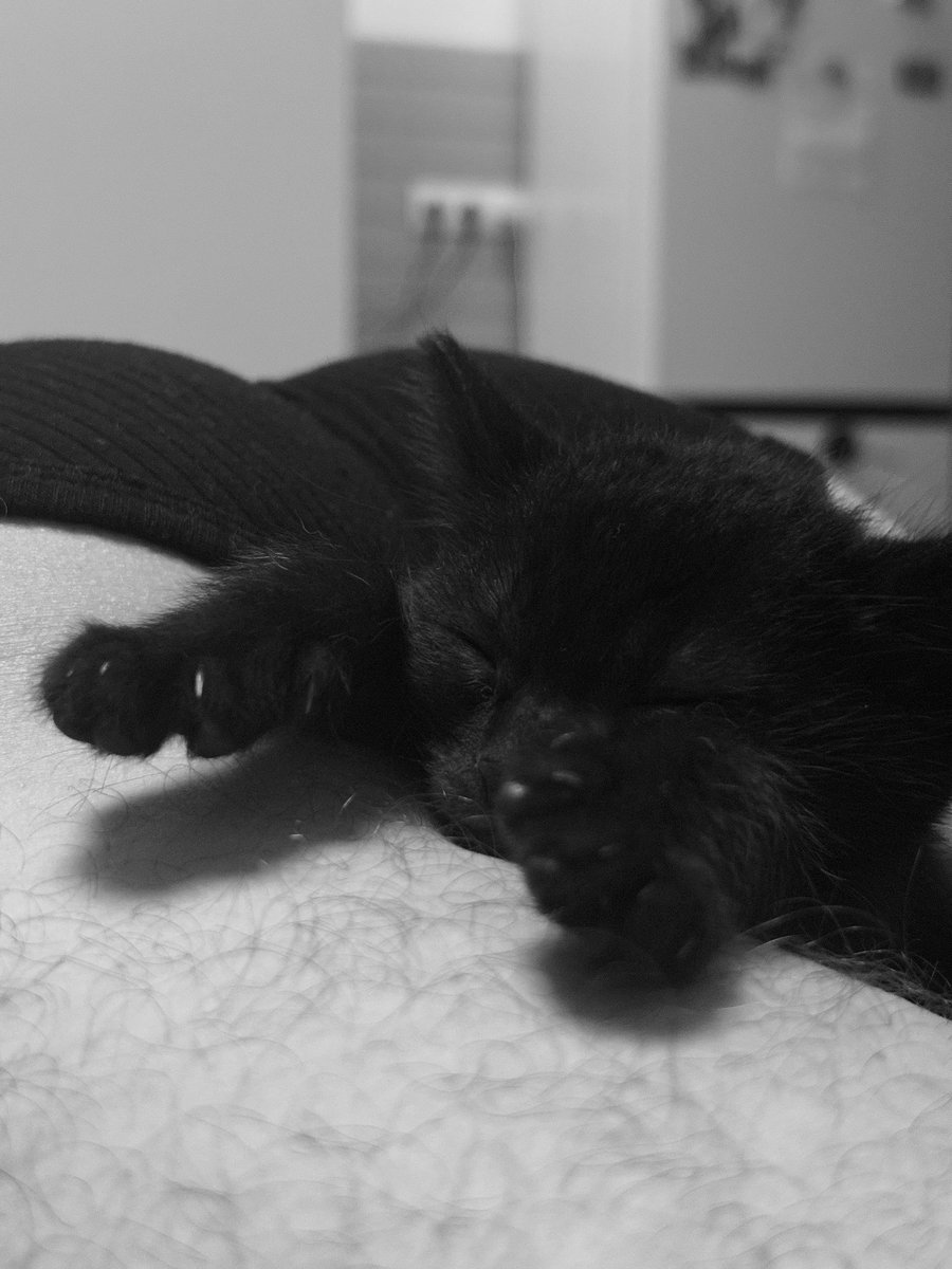 Бегал бегал и уснул )