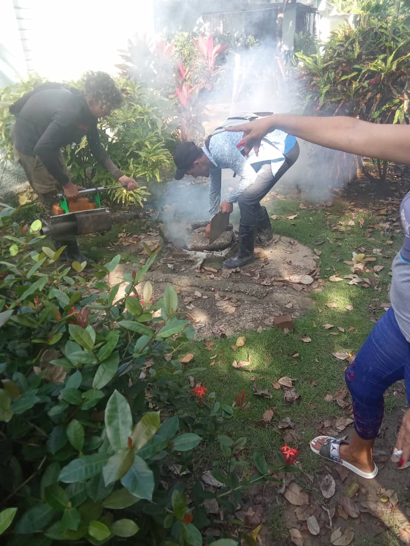 yamelverdecia's tweet photo. Desde el municipio Calixto García Se intensifican acciones para la erradicación del vector.
#HolguinSi 
#CubaPorLaVida https://t.co/zEy4xLdzcI
