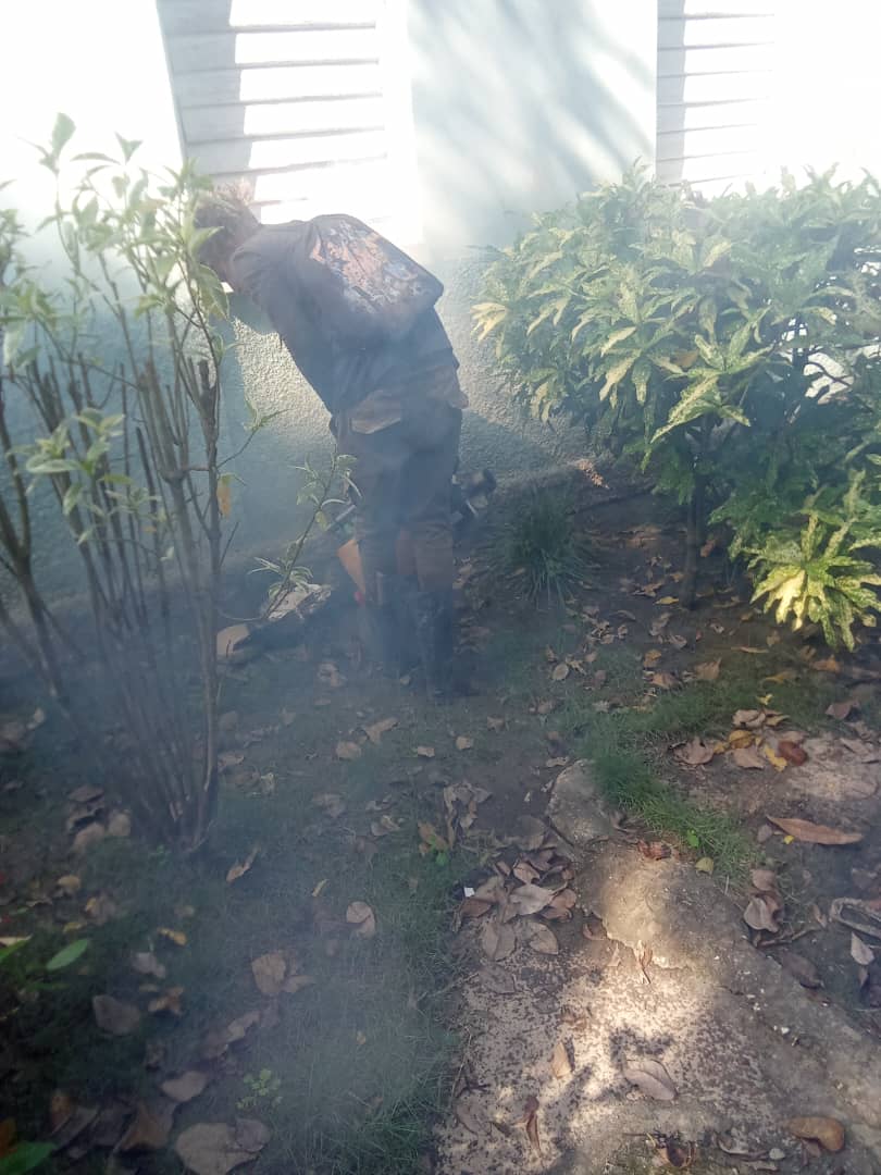 yamelverdecia's tweet photo. Desde el municipio Calixto García Se intensifican acciones para la erradicación del vector.
#HolguinSi 
#CubaPorLaVida https://t.co/zEy4xLdzcI