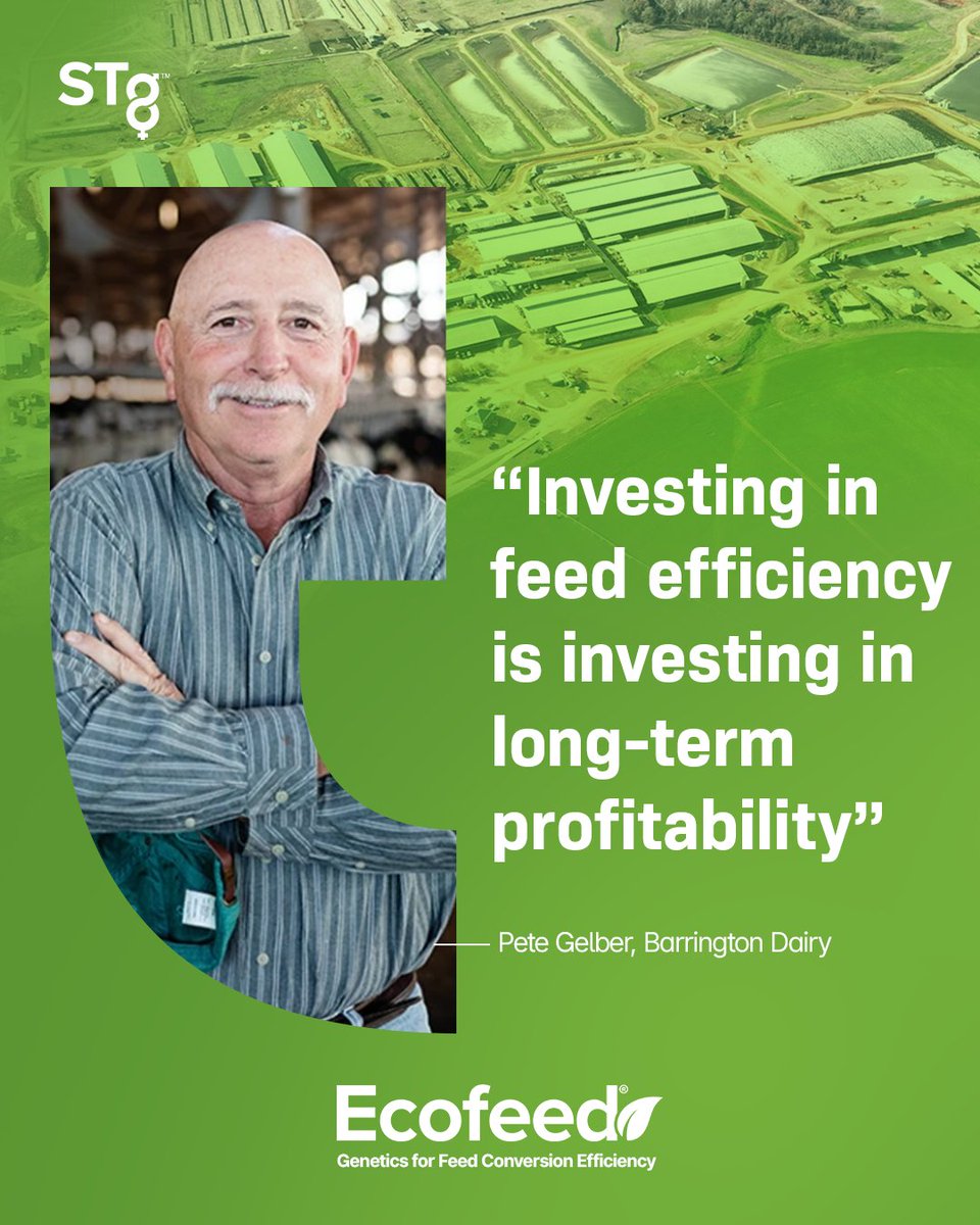 Profitability 🤝 Sustainability
In the world of modern dairy farming, efficiency is everything. For Pete Gelber of Barrington Dairy in Montezuma, Georgia, EcoFeed® is the future of profitable, sustainable cows. You can read more here: bit.ly/3Ux6eci  #STgenetics #EcoFeed