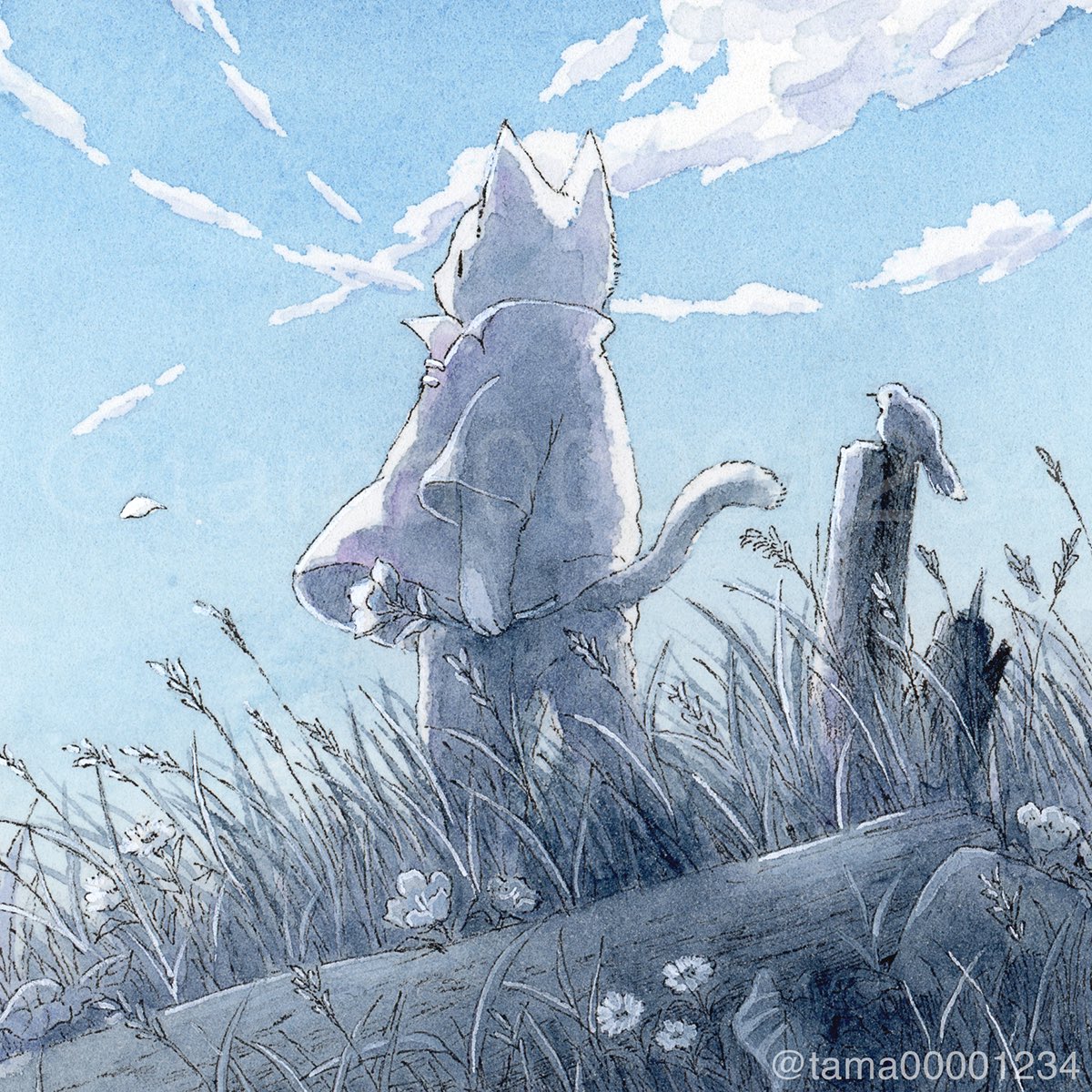 tama (@tama00001234) / Posts / X