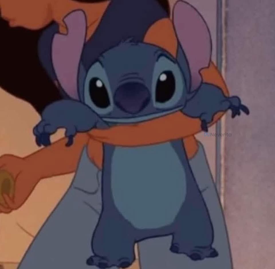 Yo llevándome a mi mascota a mi cama porque ya es hora de mimir: