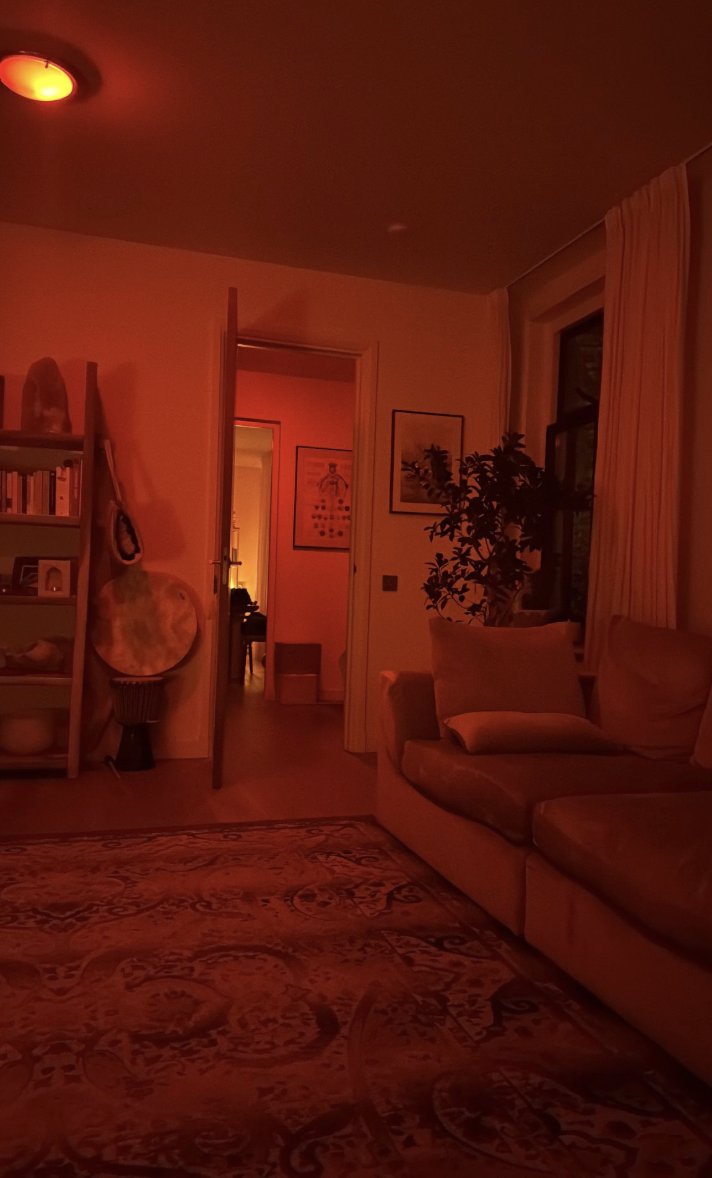 AlpacaAurelius's tweet image. if your house doesnt look like a brothel at night youre doing it wrong