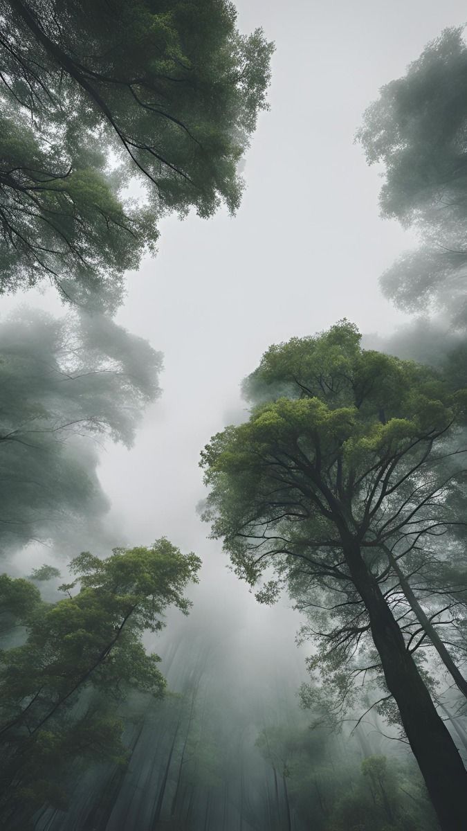 ᅠ ᅠ (@greendreaams) on Twitter photo 