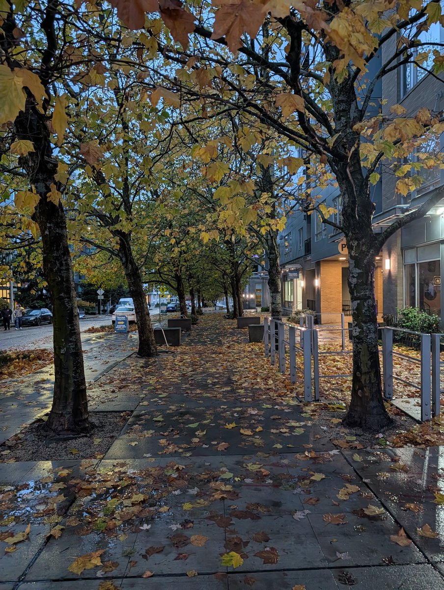 SocalStrider's tweet image. Day Zero of Port . Seattle is actually pretty insane.