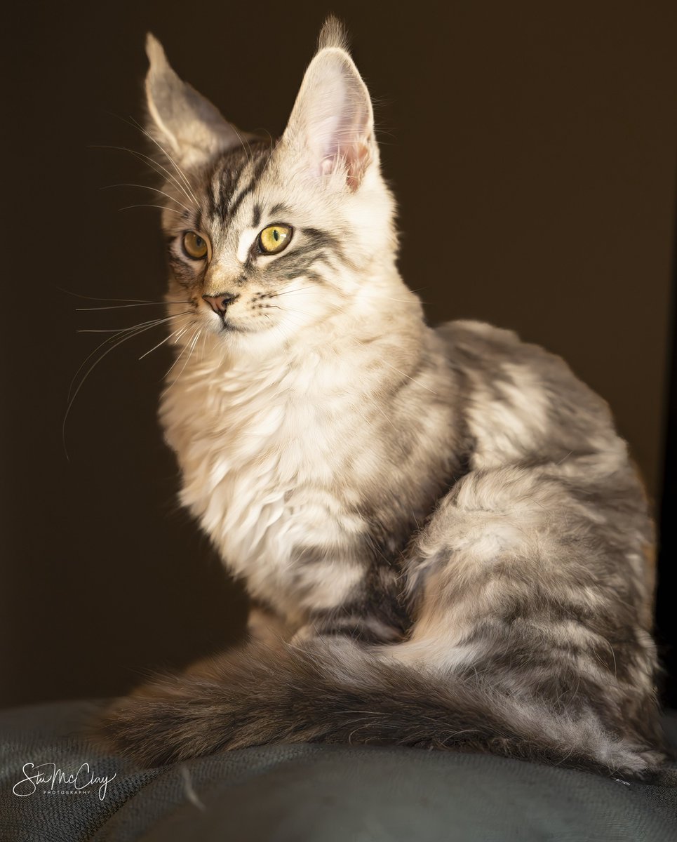 Natty’s first portrait.