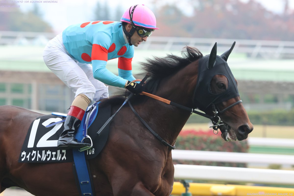 マジみっきー on X