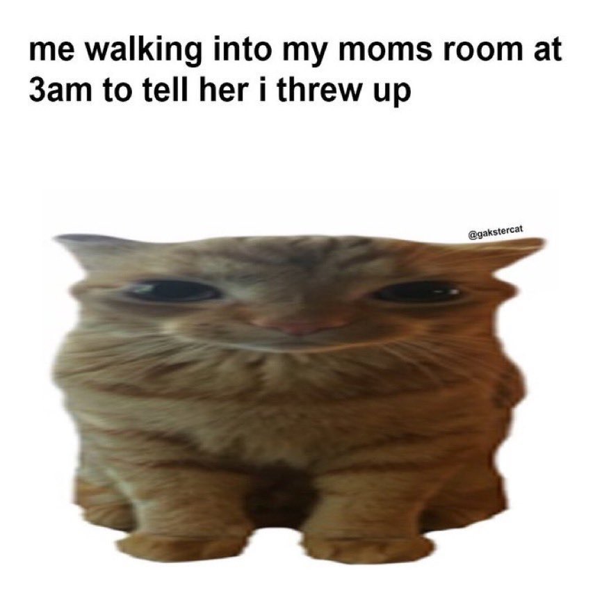 GaK (@gakstercat) on Twitter photo 