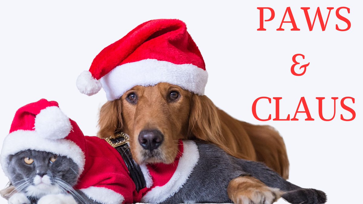 Paws ‘N Claus — Book Your Holiday Photo Session!
Capture the magic of the holidays! November 19th–23rd, 
Wed–Fri, Nov. 19–21: 5:30 PM–8:30 PM
Sat–Sun, Nov. 22–23: 10:00 AM–5:00 PM

Visit: siouxlandhumanesociety.org
Email: Maddy@siouxlandhumanesociety.org