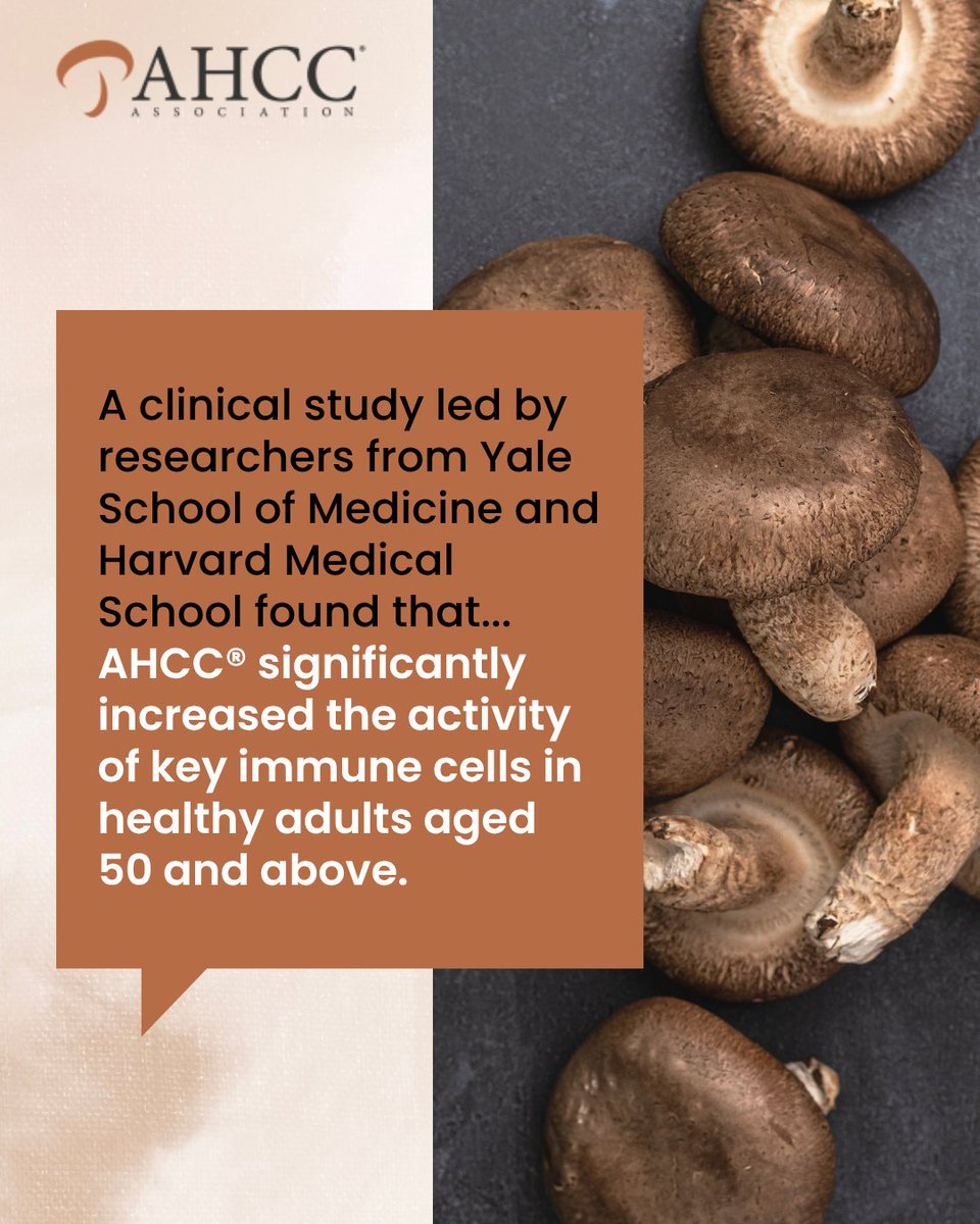 AHCCAssociation's tweet photo. Recent research reveals how AHCC® strengthens immune defense from within. 💪 Even more impressive? These immune-enhancing effects remained elevated 30 days after discontinuation, suggesting AHCC® helps “train” the immune system for lasting resilience.

 https://t.co/oAatYkxAqT https://t.co/iDdsTgXfQY
