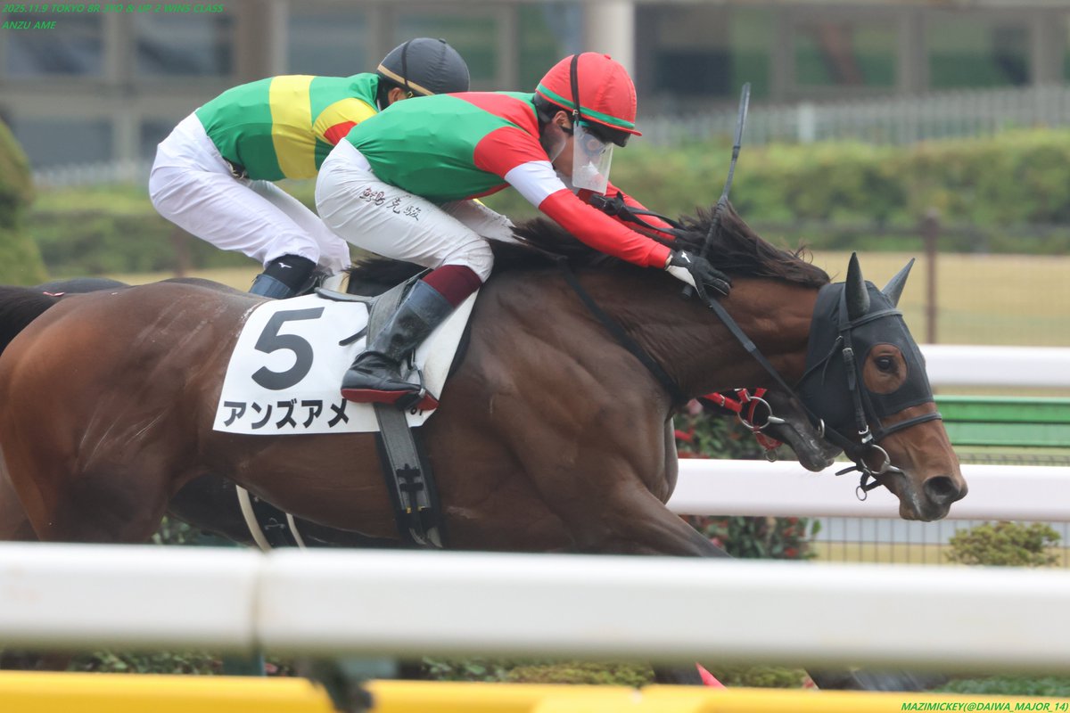 マジみっきー on X