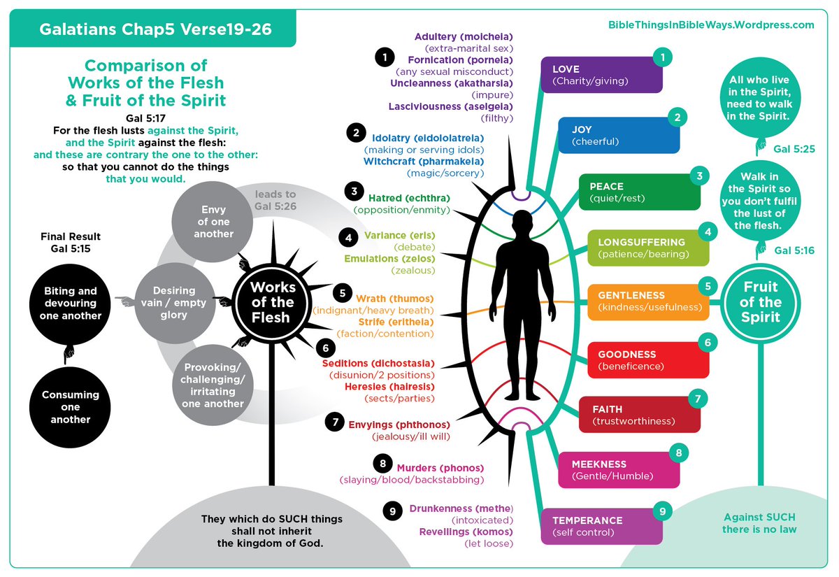 "ἀπὸ τῶν καρπῶν αὐτῶν ἐπιγνώσεσθε αὐτούς"