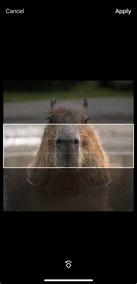 Ugh I can’t get it to fit