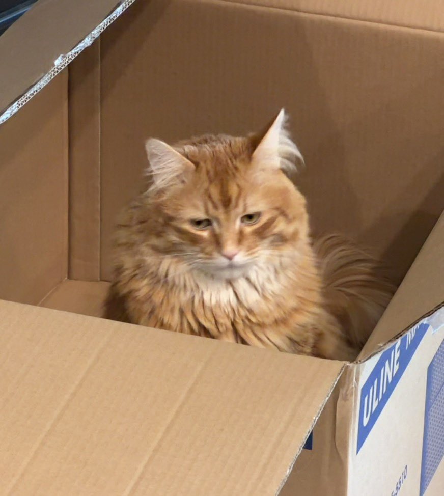 AJamesMcCarthy's tweet photo. IMPORTANT UPDATE

Greg is in a box https://t.co/BO88aEvbyy