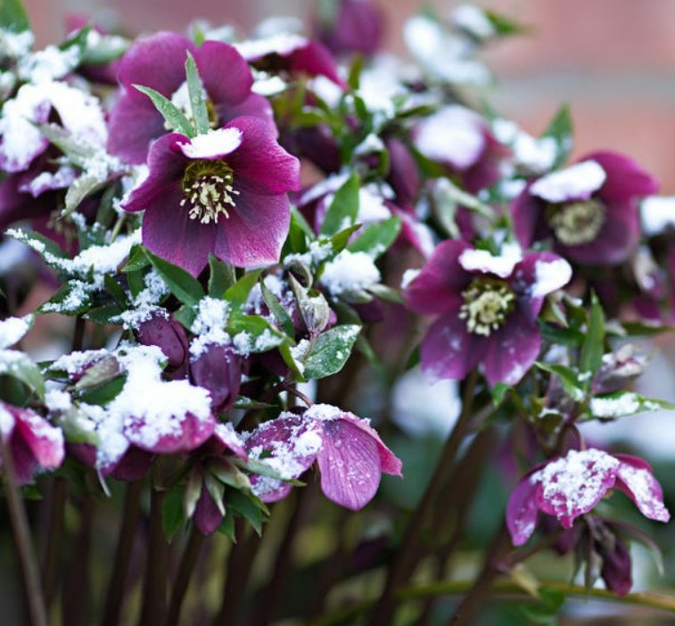 Good afternoon ❄️