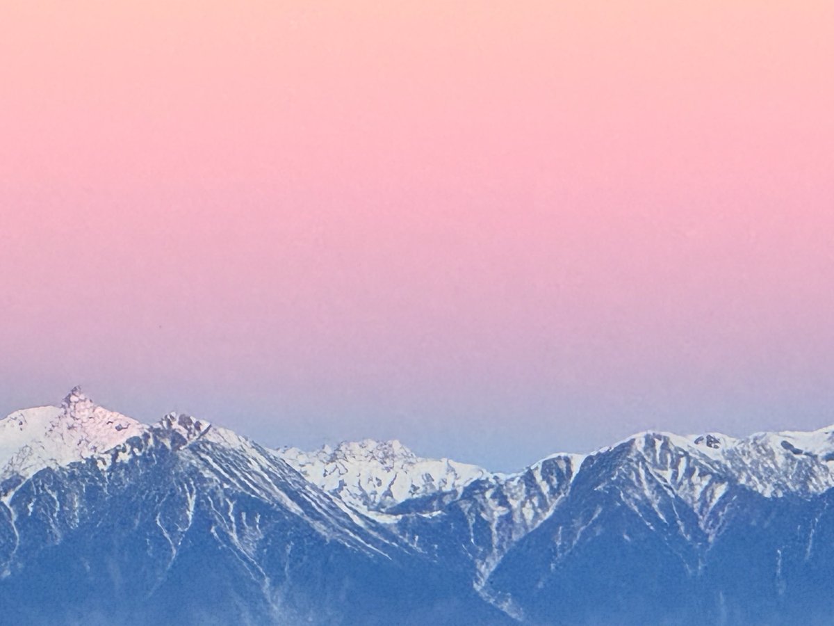 たこぽん (@xytZQUaTOhbSSdu) / Posts / X