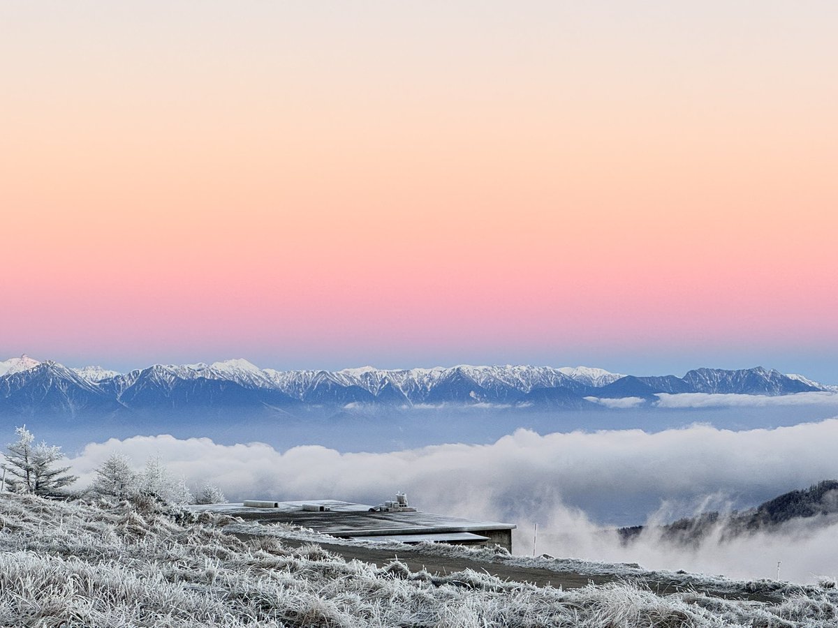 たこぽん (@xytZQUaTOhbSSdu) / Posts / X