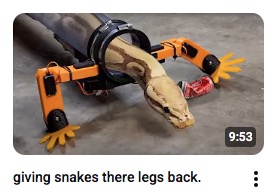 SageSignal's tweet image. When you know that you&apos;ve got a killer video idea.