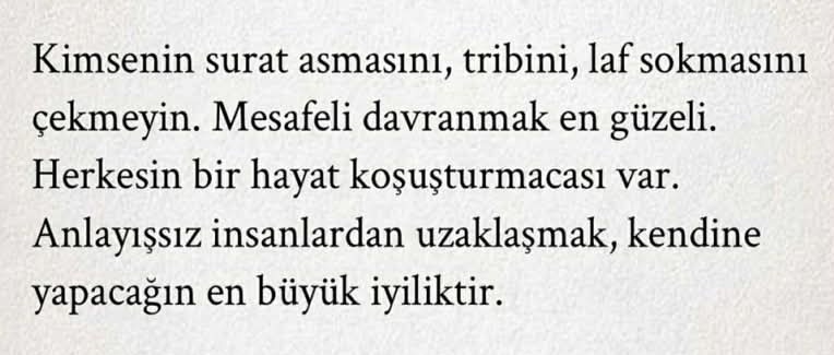 ŞİRİN (@avcirin) on Twitter photo 