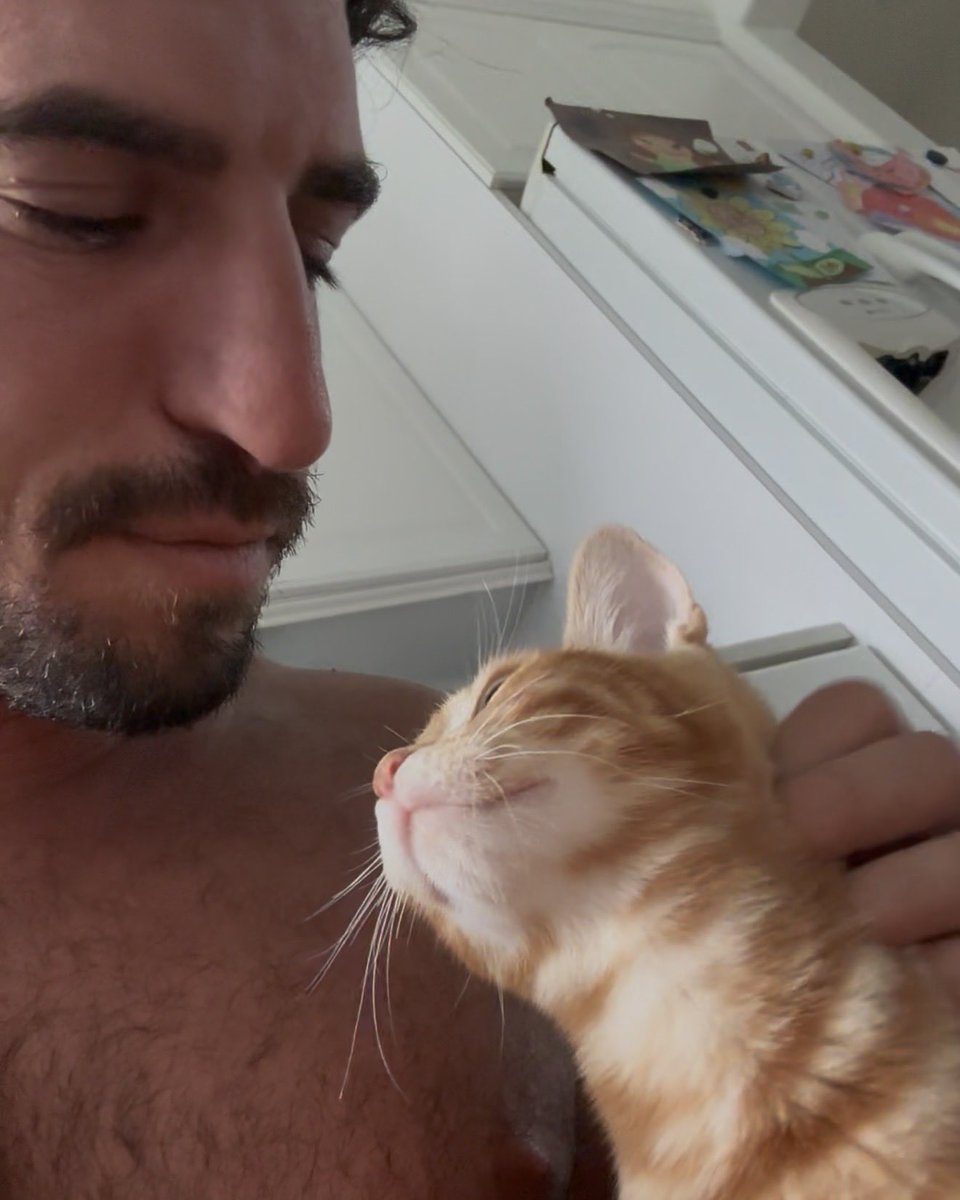 Joshua Rainer (@joshrainergold) on Twitter photo 