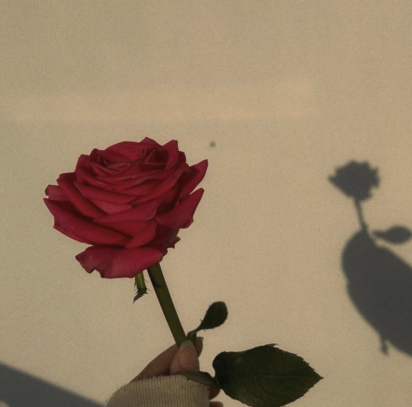 Gmic crew flexing their art skills! Drawing the talented <a href="/SeismicSys/">Seismic</a> team! Today, we're hyping <a href="/NoxxW3/">Noxx</a>, hoping to meet the legend IRL someday Shoutout to <a href="/xealistt/">Xealist</a>, <a href="/heathcliff_eth/">Heathcliff</a>, and <a href="/xplanettt/">Xplanet</a> for the love!