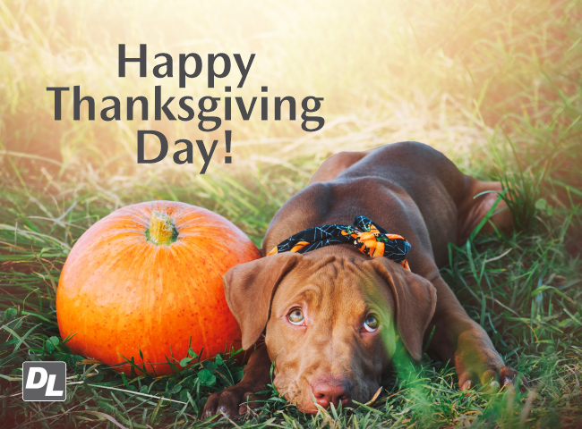 dlmazda's tweet photo. Happy Thanksgiving from Dwayne Lanes! 🦃

Today, we’re thankful for our amazing customers, team members, and community who make what we do possible every day.

We hope your day is filled with good food, great company, and plenty of gratitude.
Enjoy the holiday. https://t.co/6g41zOROzu