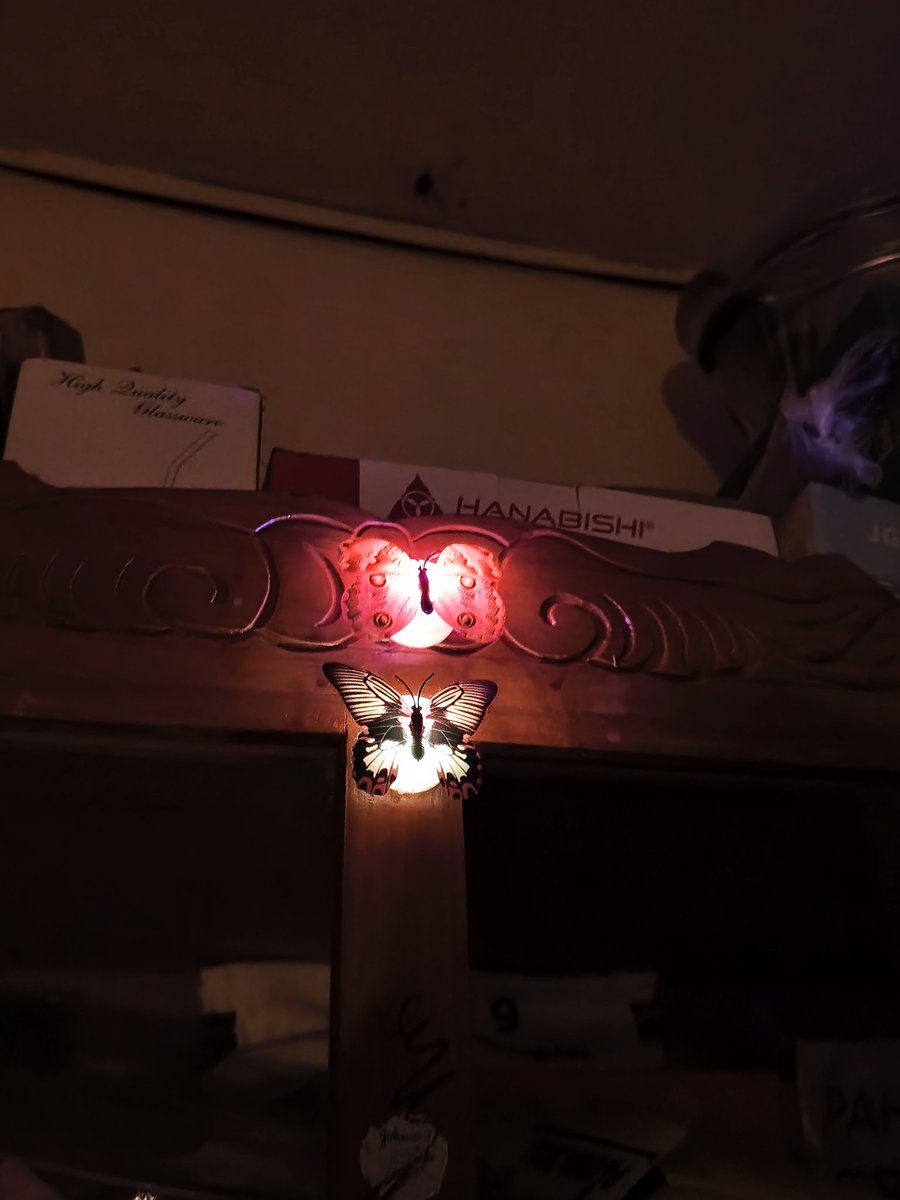 Jevfrompoultry's tweet photo. Elesbi Dusk and Justin's Surreal Butterflies as sources of light during the three-day power outage in our town. 

Grateful to have this as reminders of hope. Thank you always @SB19Official 💙💙💙💙💙

#SB19 https://t.co/efzmZ1BRoK