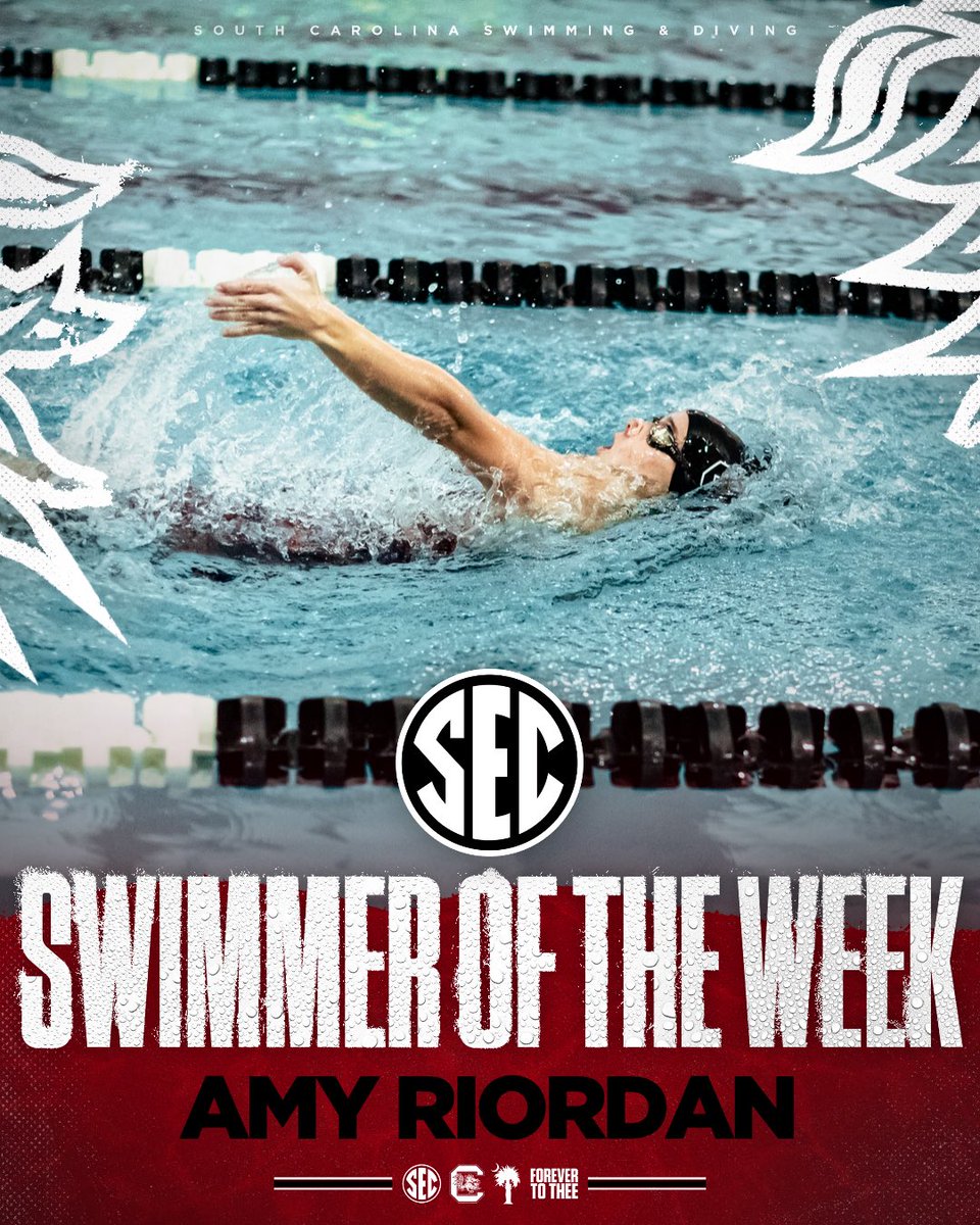 South Carolina Swimming & Diving tweet media