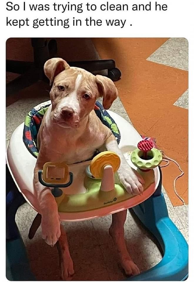 Dalbodog's tweet image. 