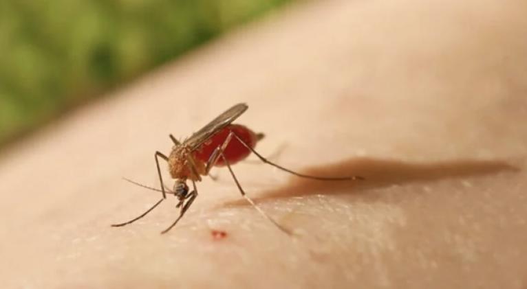 Las principales instituciones sanitarias de #SanctiSpíritusEnMarcha se mantienen en alerta y plena capacidad operativa para atender el incremento de casos de arbovirosis, fundamentalmente dengue y chikungunya...