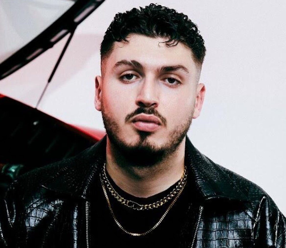 Veronika Zemanovani sikadi