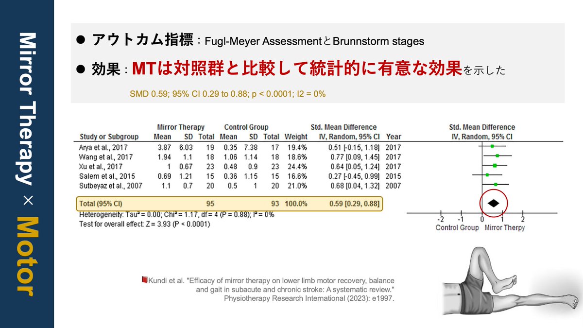 理学療法士_海津陽一 Ph.D. on X