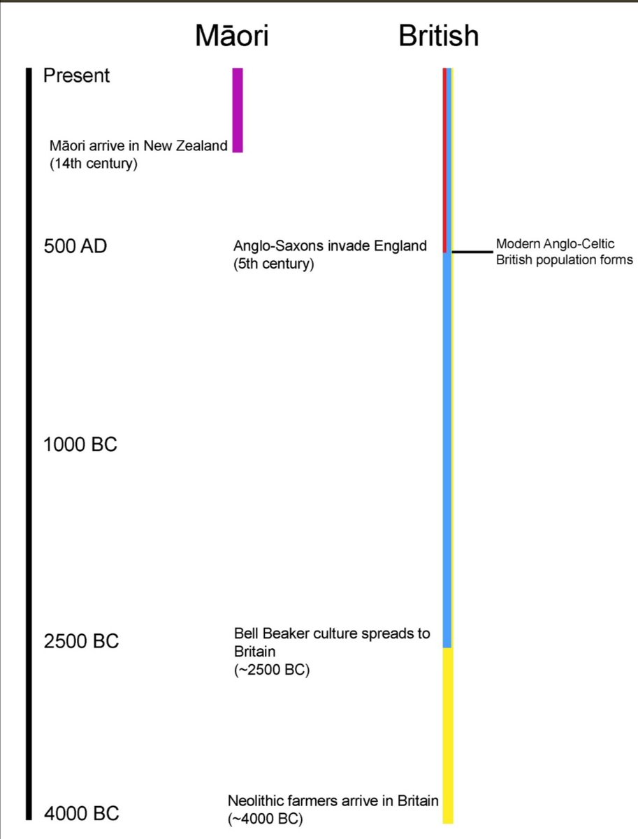 Why is it the Maori are considered indigenous to New Zealand after arriving just 700 years ago, but the English are told they don't exist after 1500 years? The answer is, of course, because the English are White.