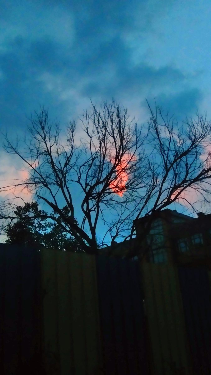 Science is simply common sense at its best, that is, rigidly accurate in observation, and merciless to fallacy in logic.