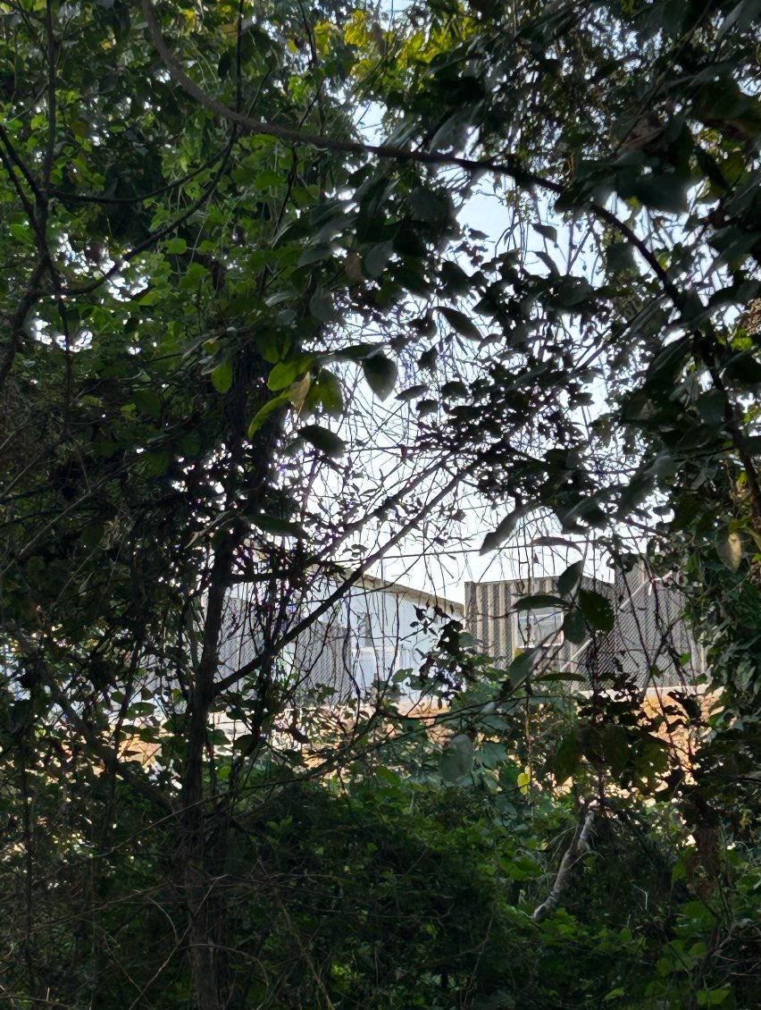 NOchchNO's tweet photo. Tan segura es tu cárcel de "máxima seguridad", que llegamos nosotros a tomar fotos y videos, hace unos días, ahí, a unos pocos metros...

Jugando a Rambo trucho no nos van a dar seguridad.
Ya es hora de parar tanto show y tanta lámpara, y portarse como adulto funcional, Daniel.

#NOchchNO , por mentiroso.