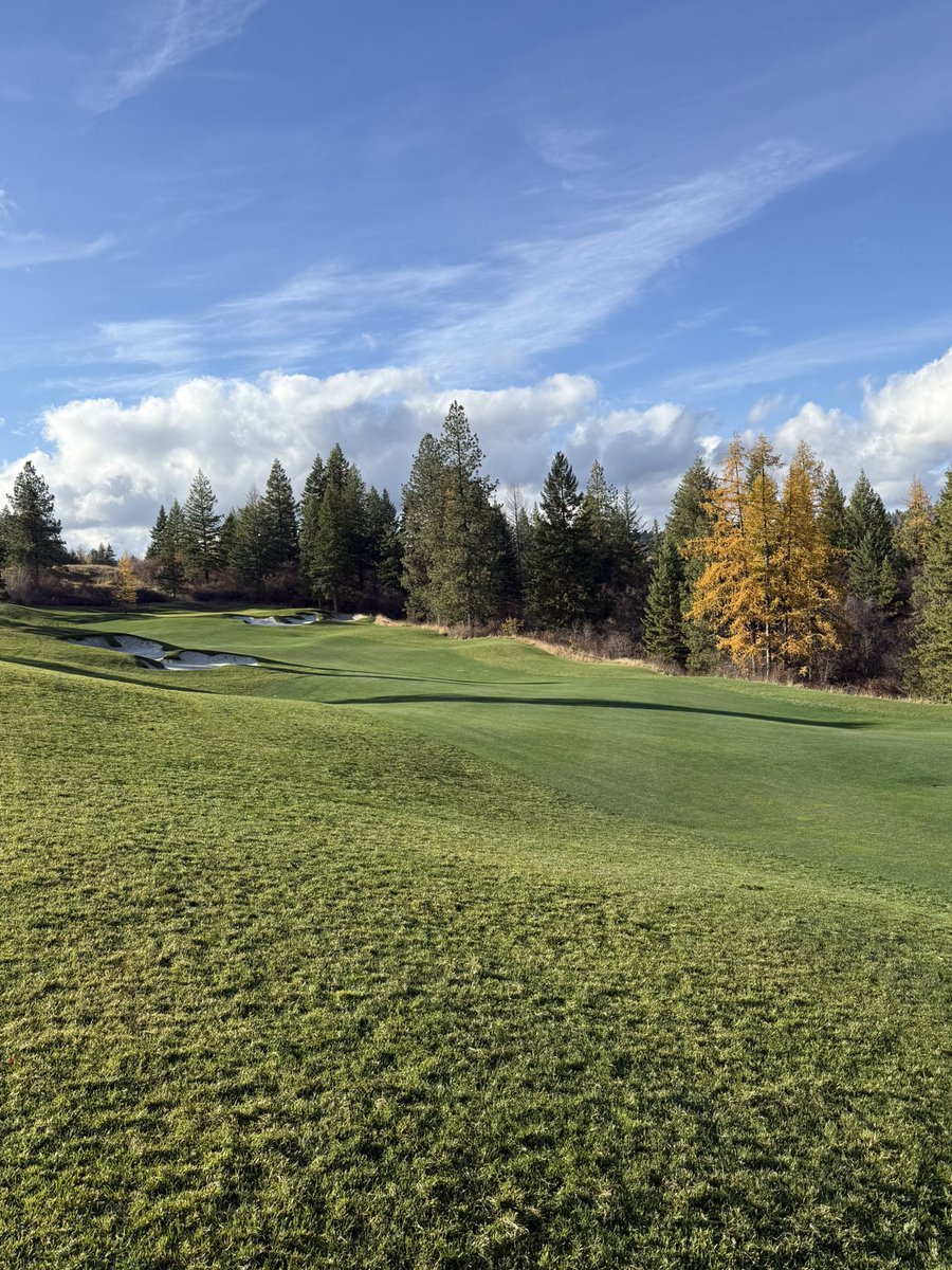 Snowmold going out on fwys. Blow out complete. Tamaracks are blazing.