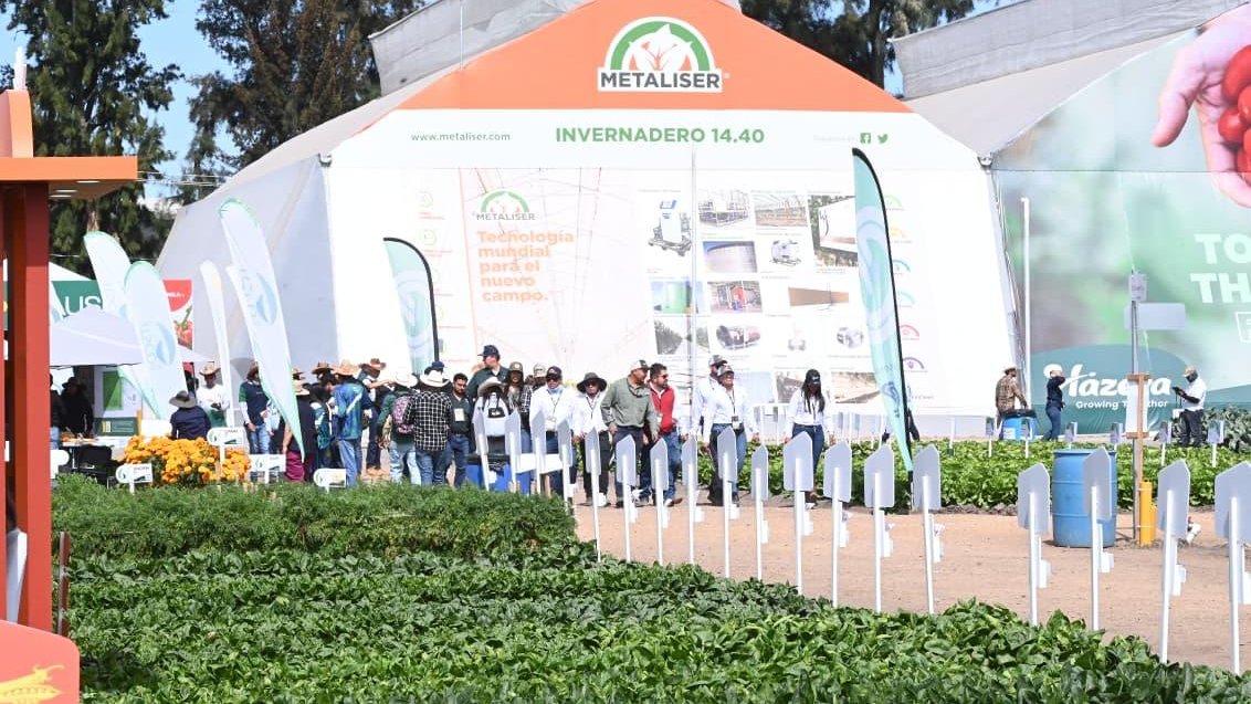 En su 30 aniversario, la <a href="/expo_agrogto/">Expo AgroAlimentaria Guanajuato®</a> reúne a más de 750 empresas nacionales e internacionales, con una expectativa de más de 125 mil visitantes y una derrama económica superior a los 90 millones de dólares.
bit.ly/4nM1trt