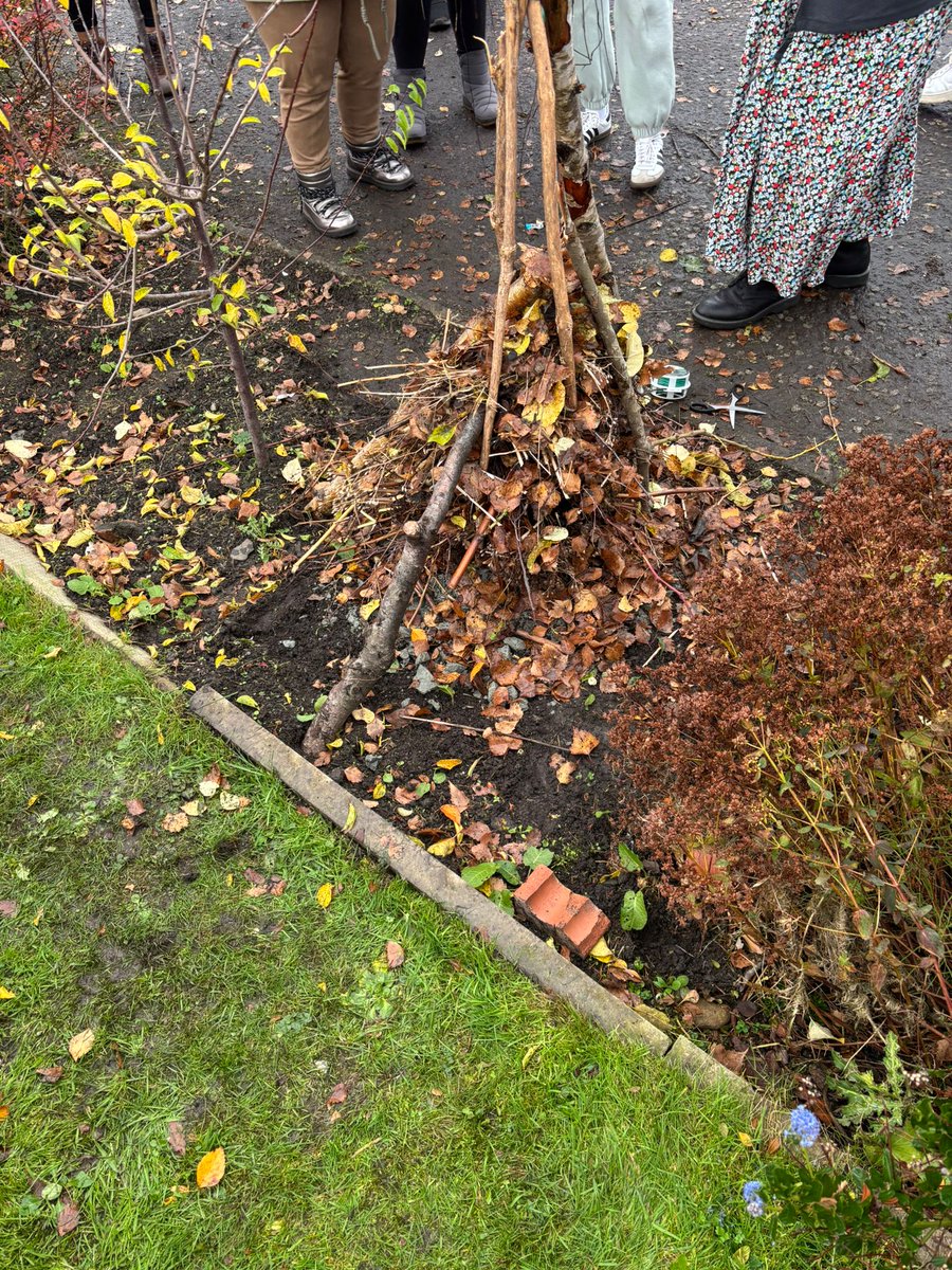 WCS Learner Development Sustainability tweet media