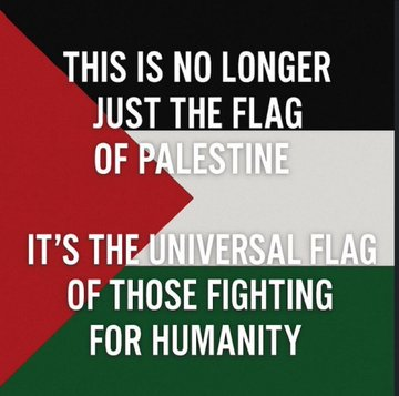 SaraReyi's tweet image. Agree?