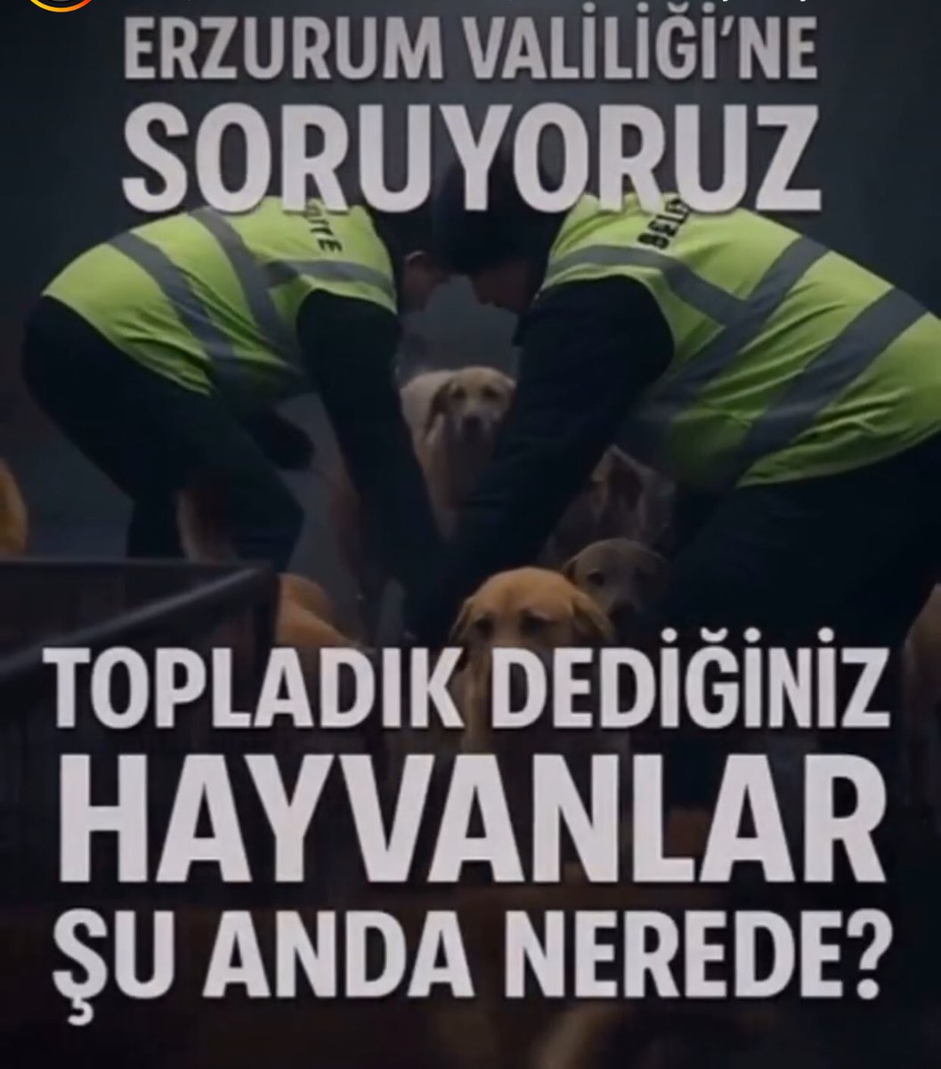 Erzurum’dan korkunç iddalar geliyor…
Tüm köpekler toplandı açıklaması ardından barınakta sadece 75 köpek olduğu ve “itlaf” kararı alındığı doğru mu?
Toplanan binlerce köpek nerede, köpekleri “itlaf” mı ettiniz?
<a href="/ErzurumValiligi/">T.C.Erzurum Valiliği</a> 
<a href="/ErzurumTarim/">Erzurum İl Tarım ve Orman Müdürlüğü</a> 
<a href="/TC_icisleri/">T.C. İçişleri Bakanlığı</a>  
#ErzurumdaKatliamVar