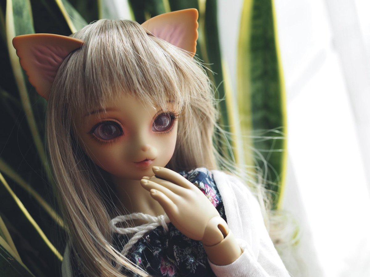 kotorie1218's tweet image. おはようにゃ🌿
#おはドル #luts ｼﾞｬｽﾐｰﾇ