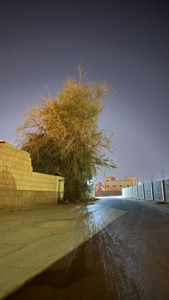 ياليل الشتاء لا توجع الخاطر الملتاع 
ولا تختبر صبري ولا تختبر طيبي 

أسامر نجومك وأغبط العالم الهجّاع
لامنه بدا روتين ليلي و تعذيبي

أجر النسم ويتوق قلبي على المطلاع 
ولا ودي احدٍ ينتبه لي و يدري بي