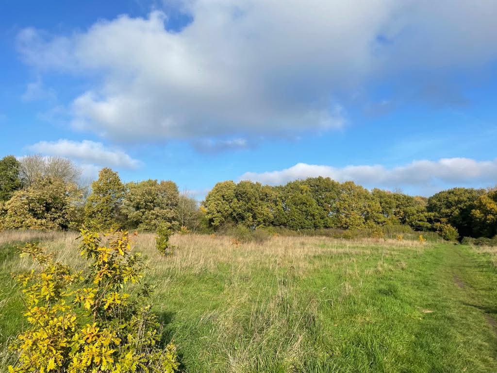 Over 40K signatures 👏 on the petition asking <a href="/UKLabour/">The Labour Party</a> for a review of the vague “Greybelt ” definition..thousands of acres of prime #Greenbelt going to development because of the loophole. It closes this Friday so please sign ✍️ 
#SaveourGreenbelt 

👉share.google/cY6s8pdtJl5QaQ…