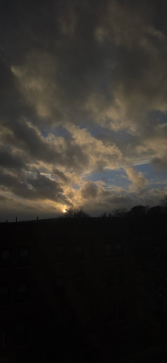 Witnessed this majesty and immediately ordered wings