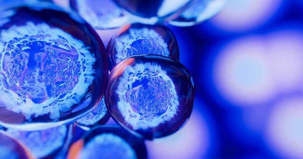 $FBLG: Fibroblast Therapy Ready to Enter the Clinic #CellularTherapy #Fibroblasts buff.ly/o5ZEcXc