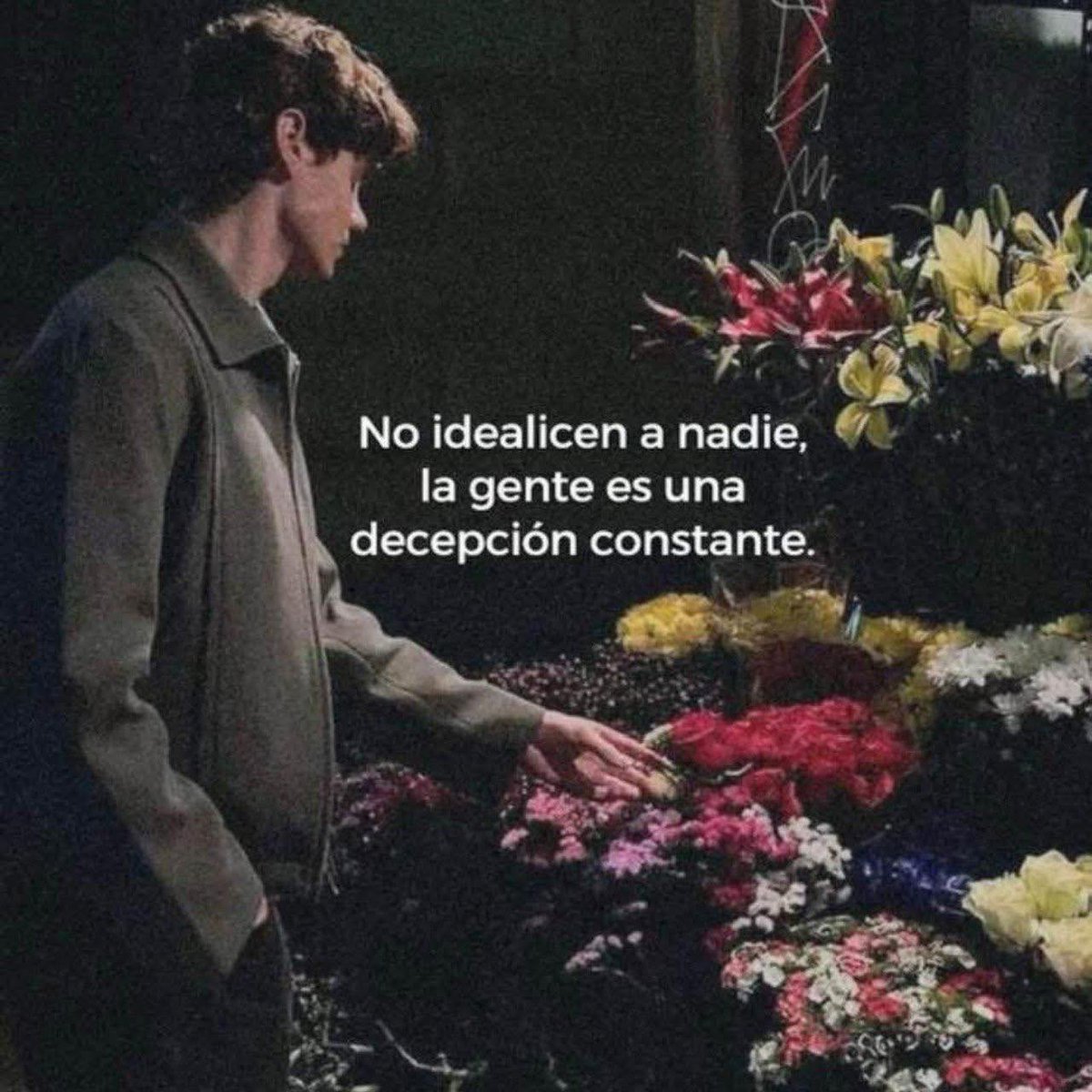 Bandidosfrases's tweet image. 