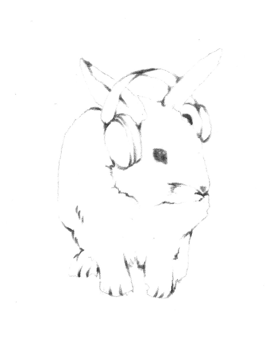 natesulIivan's tweet image. dropping 11/14 on vega.rip